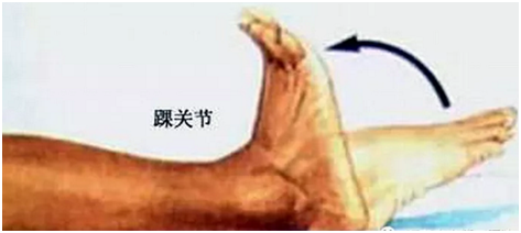 踝泵运动.png